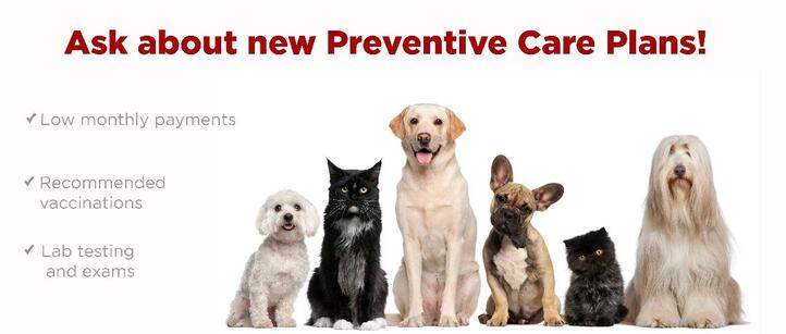Preventive care Plans